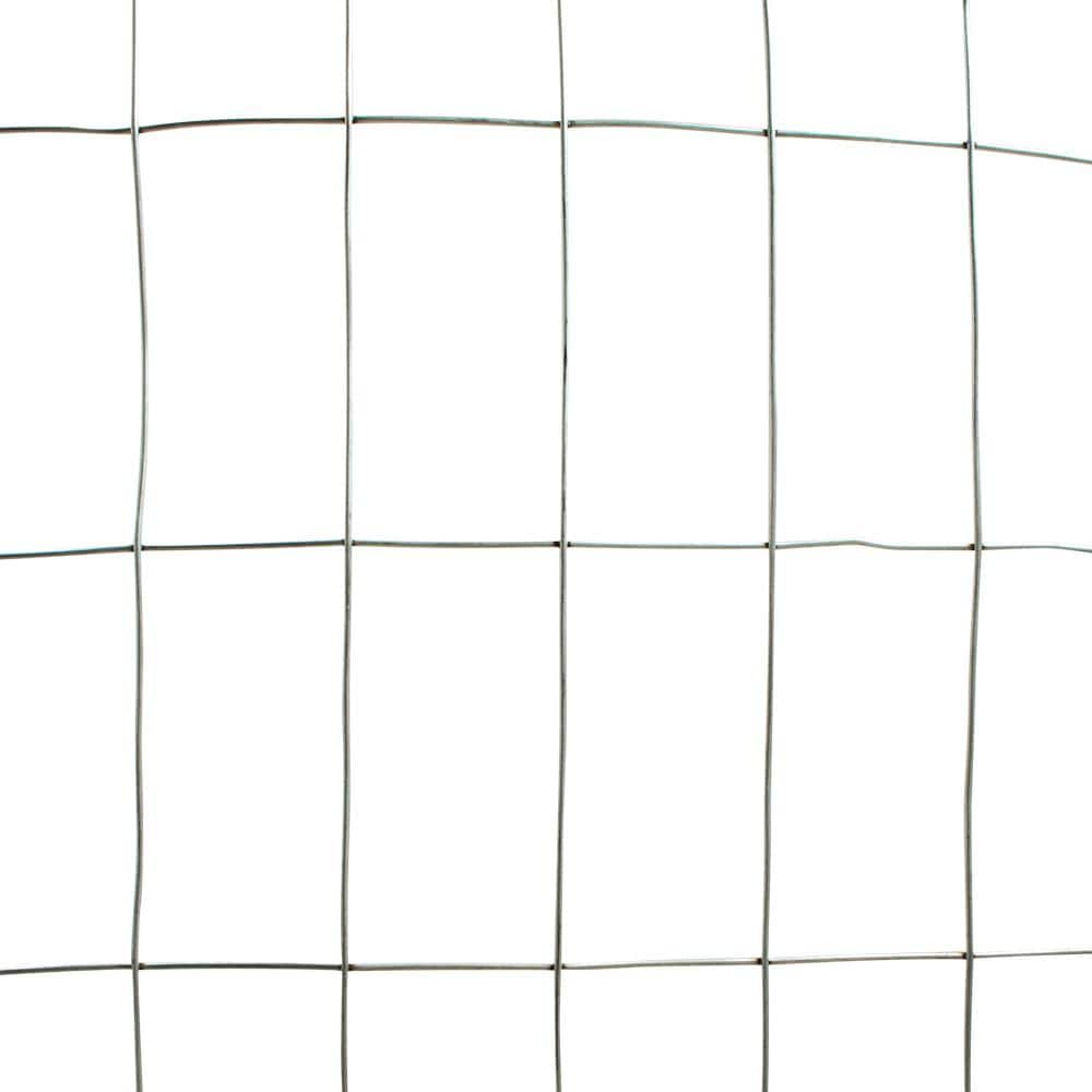 Everbilt 4 ft. x 50 ft. 14-Gauge Welded Wire