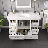 Eviva Britney 48 in. W x 22 in. D White Single Sink Bathroom Vanity with Carrara Quartz Top and Undermount Sinks