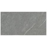 Exeter 12 in. x 24 in. Matte Porcelain Stone Look Floor and Wall Tile (14 sq. ft./Case)