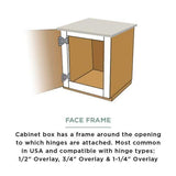35 mm 110-Degree 3/4 in. Overlay Soft Close Cabinet Hinge (1-Pair)
