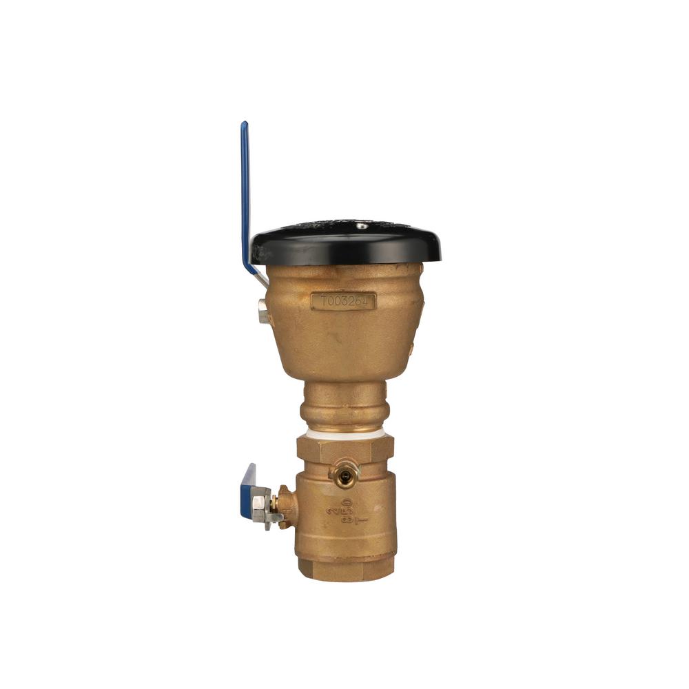 2 in. Pressure Vacuum Breaker Assembly - Super Arbor