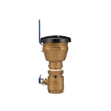 2 in. Pressure Vacuum Breaker Assembly - Super Arbor