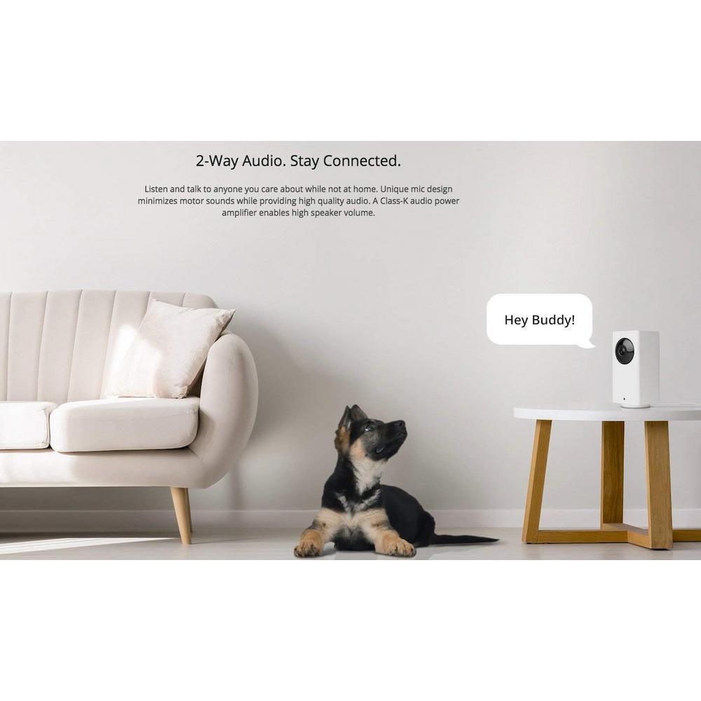1080p Pan/Tilt/Zoom Indoor Wireless Wi-Fi Smart Home Camera Night Vision 2Way Audio Alexa/Google Ready 32GB Card - Super Arbor