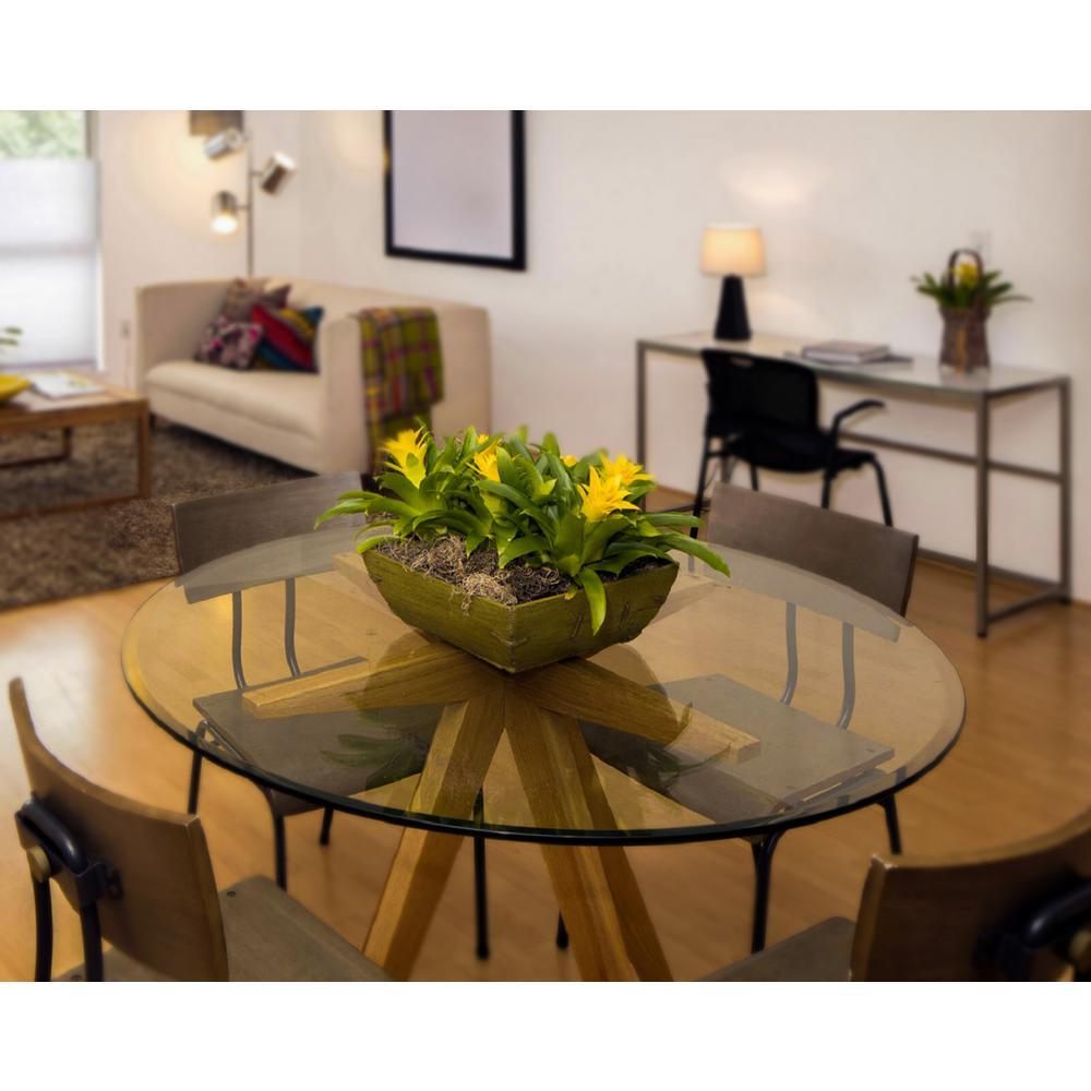 33 in. Clear Round Glass Table Top, 1/2 in. Thickness Tempered Beveled Edge Polished - Super Arbor