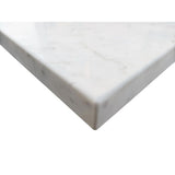 61 in. W x 22 in. D x 1 in. H Bianco Carrara White Marble Double Basin Vanity Top with White Basins - Super Arbor