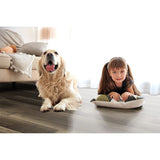 Style Selections Aged Gray Oak 7.59-in W x 4.23-ft L Smooth Wood Plank Laminate Flooring
