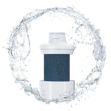 Twist and Lock Post Carbon Cartridge