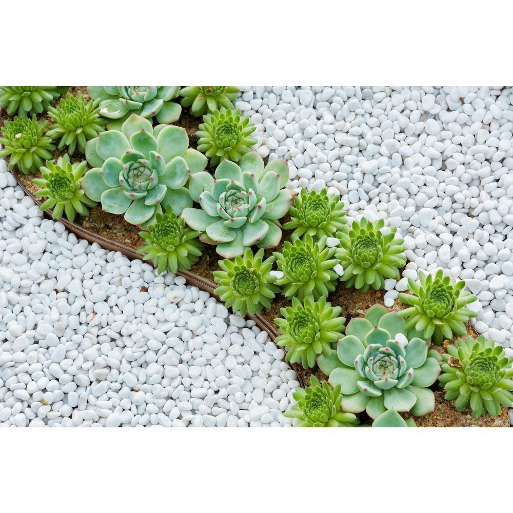 3/8 in. Polished Snow White Gravel (20 lbs. Bag) - Super Arbor
