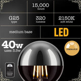 Globe Electric 40-Watt Equivalent G25 Chromada LED Light Bulb Soft White