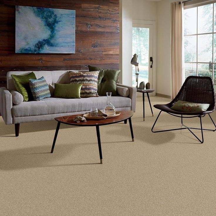 STAINMASTER PetProtect Baxter I Boxer Textured Carpet (Indoor)