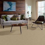 STAINMASTER PetProtect Baxter I Boxer Textured Carpet (Indoor)
