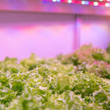 4 ft. 54-Watt Vertical Mount White Full Spectrum LED Non-Dimmable Indoor Linkable Plant Grow Light Strip, Daylight