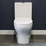 Sublime II 2-piece 0.8/1.28 GPF Dual Flush Round Toilet in Glossy White, Seat Included - Super Arbor