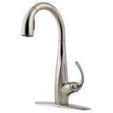 Avanti Single-Handle Pull-Down Sprayer Kitchen Faucet in Stainless Steel - Super Arbor