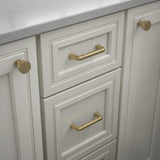 Izak 1-1/4 in. (31 mm) Champagne Bronze Cabinet Knob - Super Arbor