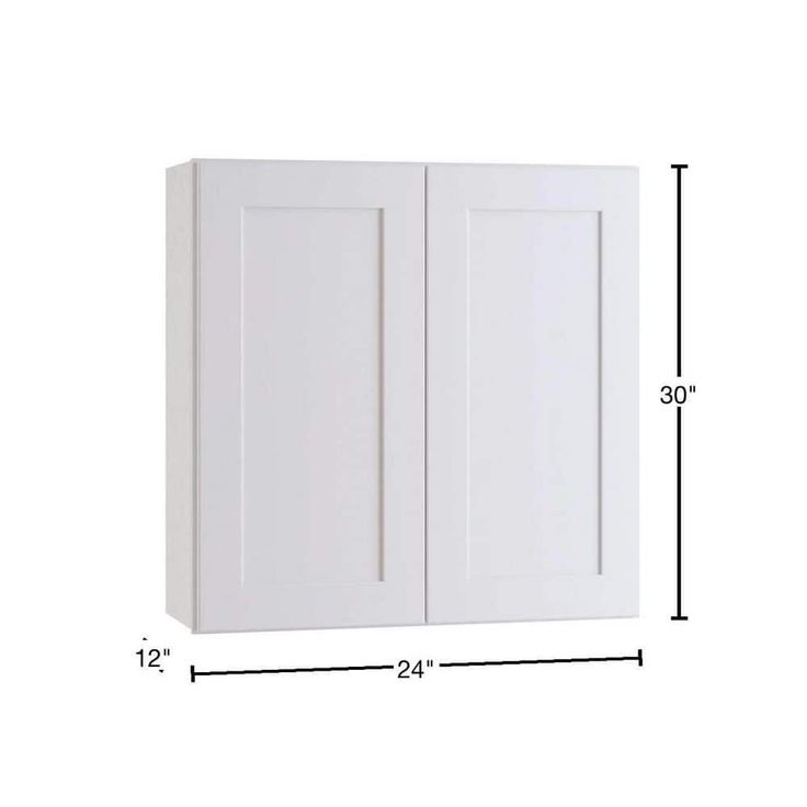 Home Decorators Collection Newport 24 in. W x 12 in. D x 30 in. H Assembled Plywood Wall Kitchen Cabinet in Pacific White with Soft Close