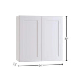 Home Decorators Collection Newport 24 in. W x 12 in. D x 30 in. H Assembled Plywood Wall Kitchen Cabinet in Pacific White with Soft Close