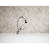 Trielle Single-Handle Pull-Down Sprayer Kitchen Faucet in Chrome - Super Arbor
