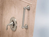 Moen Grab-Bar 9-in Brushed Nickel Wall Mount Grab Bar