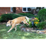 Sprinkler with Motion Sensor - Super Arbor