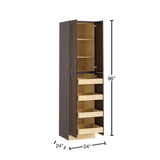 Home Decorators Collection Newport 24 in. W x 24 in. D x 96 in. H Assembled Plywood Pantry Kitchen Cabinet in Manganite with 4ROT Soft Close