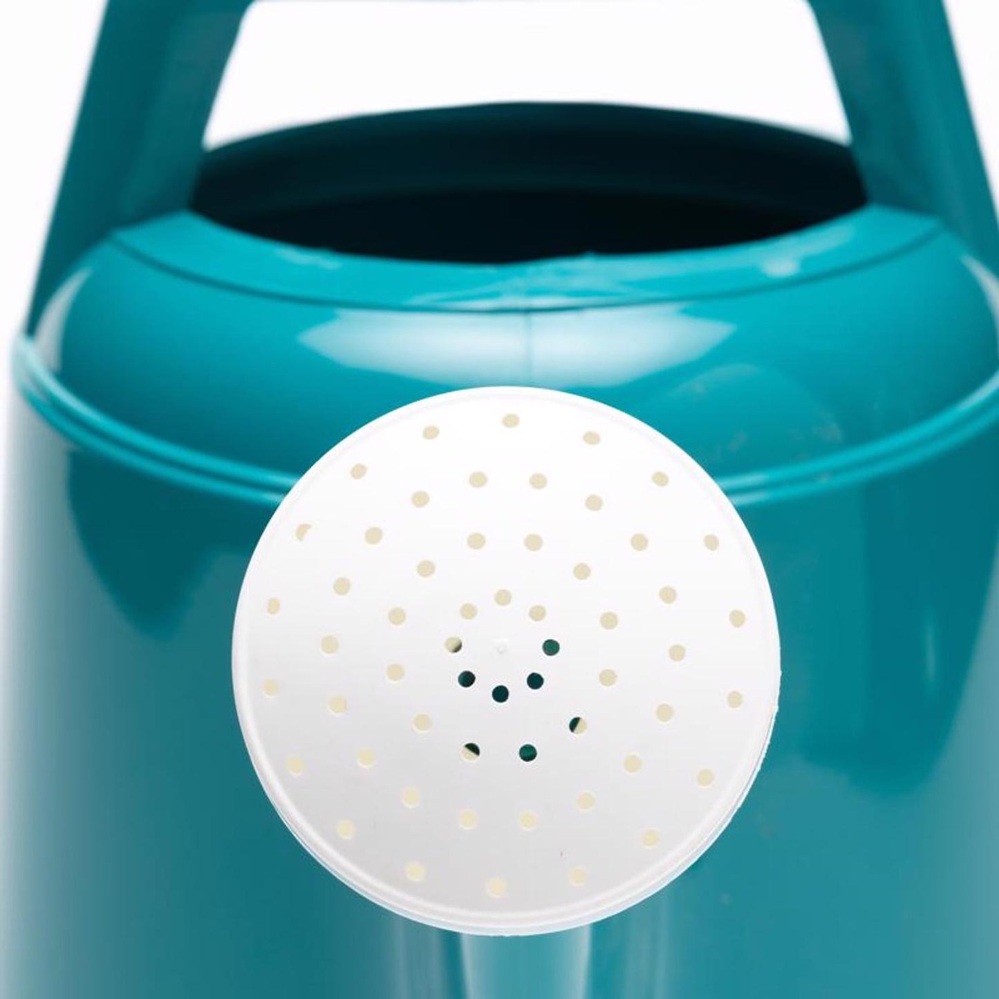 Bloem Teal 2.5 gal Plastic Watering Can