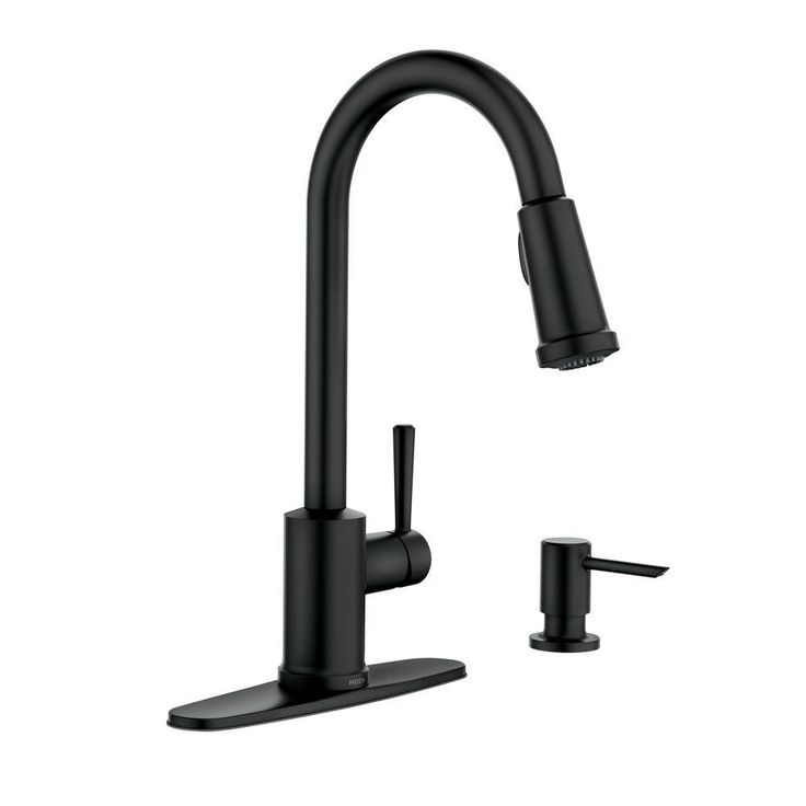 Indi Single-Handle Pull-Down Sprayer Kitchen Faucet with Reflex and Power Clean in Matte Black