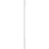Ekena Millwork 2 in. D x 6 in. W x 48 in. L Primed Polyurethane Pilaster 1-Pack