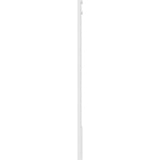 Ekena Millwork 2 in. D x 8 in. W x 60 in. L Primed Polyurethane Pilaster 1- Pack