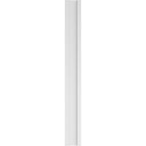 Ekena Millwork 2 in. D x 8 in. W x 72 in. L Primed Polyurethane Pilaster 1-Pack