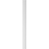 Ekena Millwork 2 in. D x 8 in. W x 96 in. L Primed Polyurethane Pilaster 1- Pack