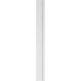 Ekena Millwork 2 in. D x 9 in. W x 82 in. L Primed Polyurethane Pilaster 1- Pack