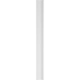 Ekena Millwork 2 in. D x 10 in. W x 102 in. L Primed Polyurethane Pilaster 1-Pack