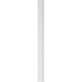 Ekena Millwork 2 in. D x 10 in. W x 120 in. L Primed Polyurethane Pilaster 1- Pack