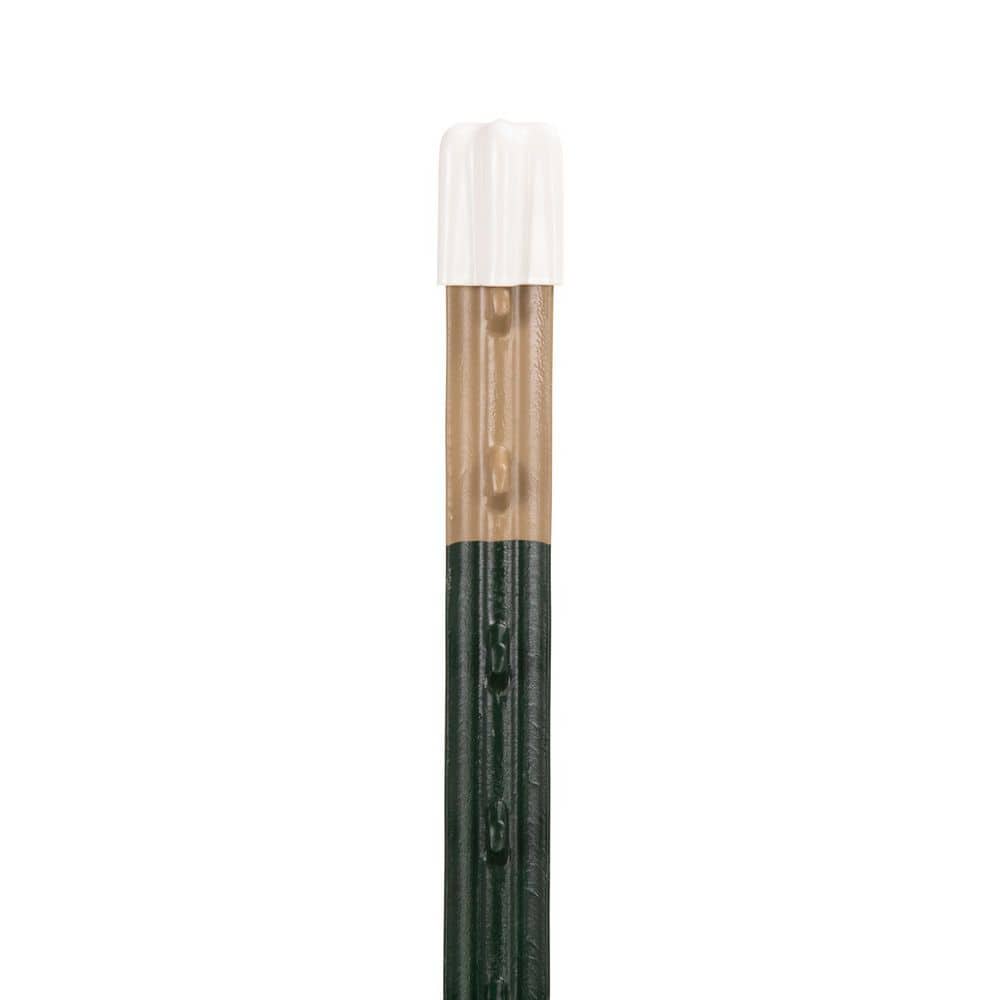 FARMGARD T-Post Cap (10 Pack)