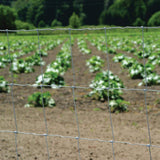 FARMGARD 3 ft. 11 in. x 132 ft. 12-1/2 Gauge Galvanized Steel Field Fence
