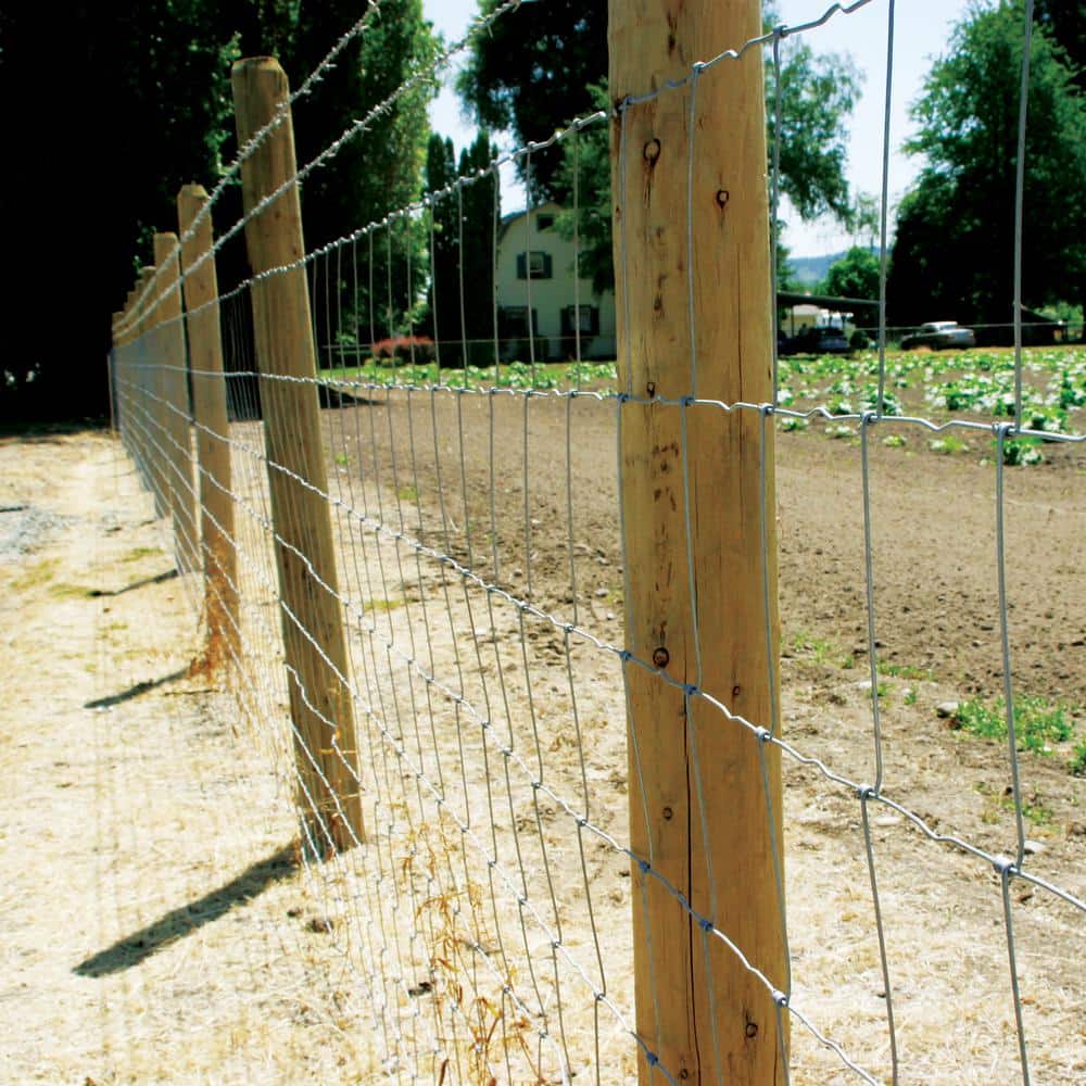 FARMGARD 3 ft. 11 in. x 132 ft. 12-1/2 Gauge Galvanized Steel Field Fence