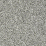 STAINMASTER PetProtect Baxter II Roscoe Textured Carpet (Indoor)