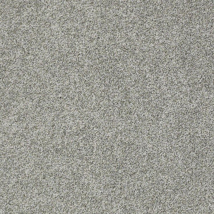 STAINMASTER PetProtect Baxter II Roscoe Textured Carpet (Indoor)