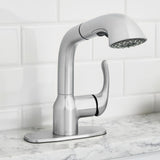 Dunning Single-Handle Pull-Out Laundry Faucet with Dual Spray Function in Stainless Spot Resistant - Super Arbor