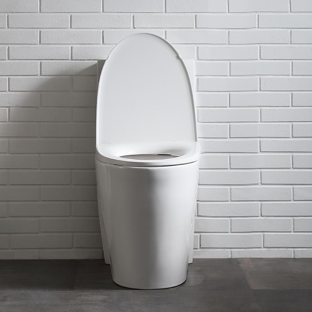 Buxton 1-Piece 1.6 GPF/1.1 GPF Dual Flush Elongated Toilet in White - Super Arbor