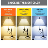 Feit Electric 60-Watt Equivalent G16.5 Candelabra Dimmable Filament ENERGY STAR Clear Glass LED Light Bulb, Soft White (2-Pack)