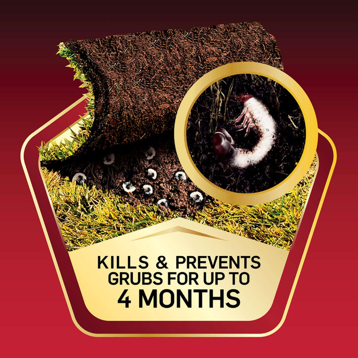fd7dd020-e0b8-45a5-ada0-c57701156991_quality=60&_mzcb=_1649148331752_-1127567527