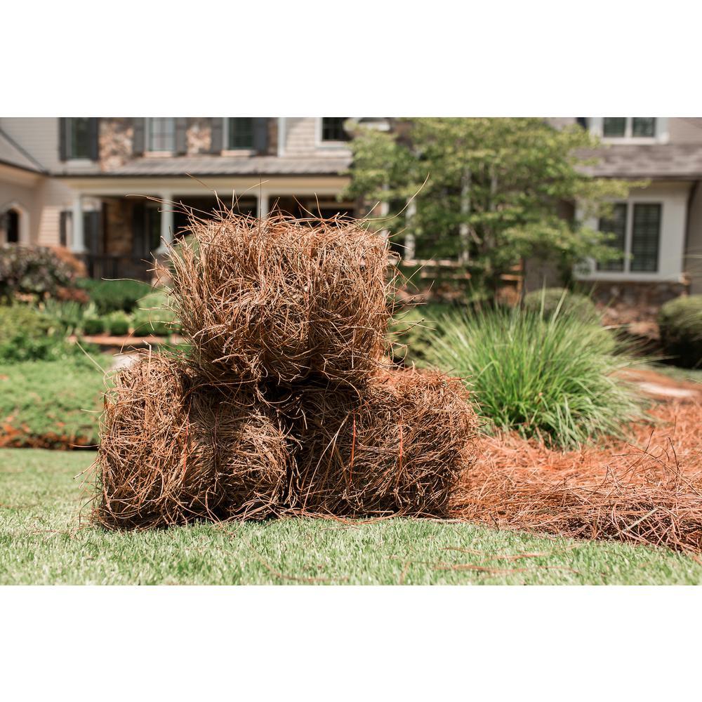 Baled Pine Straw - Super Arbor