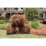 Baled Pine Straw - Super Arbor