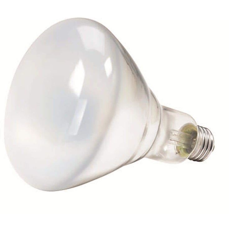 Philips 65-Watt BR40 Incandescent Flood Light Bulb Soft White (2700K) (12-Pack)
