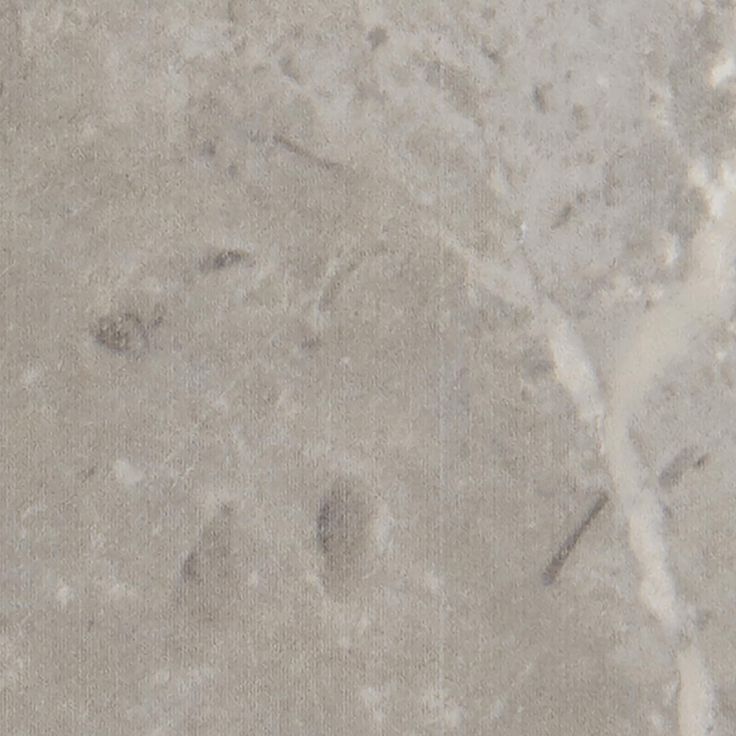 Mohawk ForeverStyle Gray Marble Porcelain Bullnose Trim Tile (3-in x 12-in)