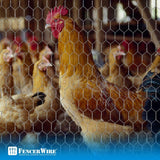 Fencer Wire 2 ft. x 150 ft. 20-Gauge Poultry Netting with 2 in. Mesh