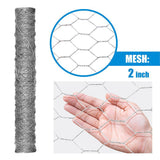 Fencer Wire 2 ft. x 150 ft. 20-Gauge Poultry Netting with 2 in. Mesh