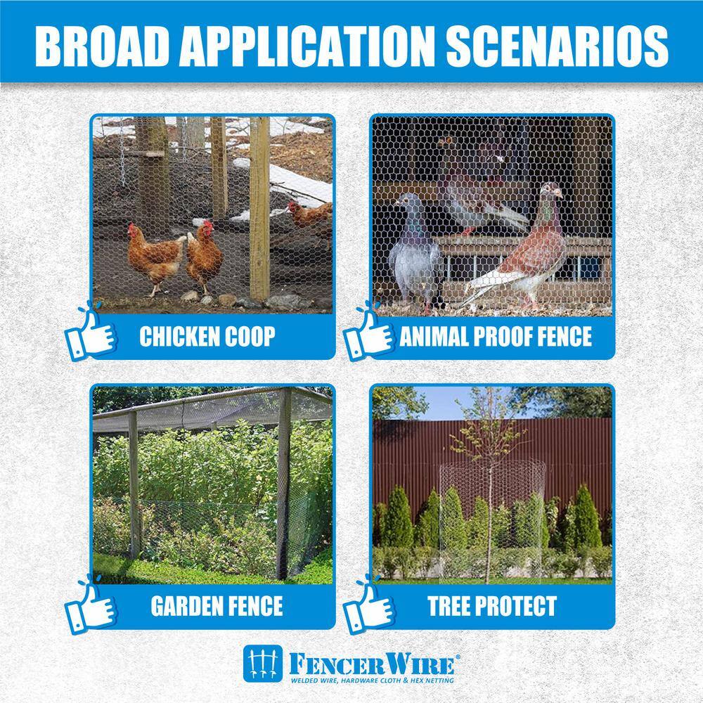 Fencer Wire 2 ft. x 150 ft. 20-Gauge Poultry Netting with 2 in. Mesh